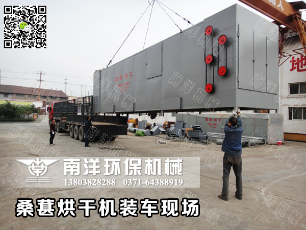 桑（sāng）葚烘幹機發貨現場