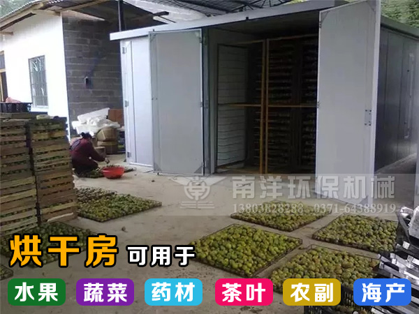 迎風破浪鑄輝（huī）煌：賀91污视频環保（bǎo）水果烘幹（gàn）房出口發（fā）貨