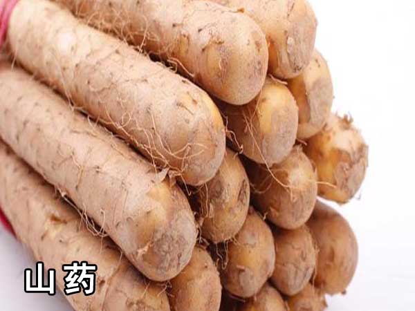 山藥（yào）