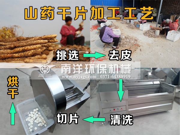 山藥（yào）幹片加工工藝
