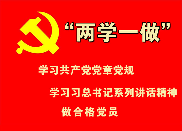 “兩（liǎng）學一做”到基層，揮毫潑墨傳精神！