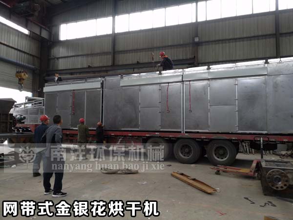 網帶式（shì）金銀花烘幹機發（fā）貨交付