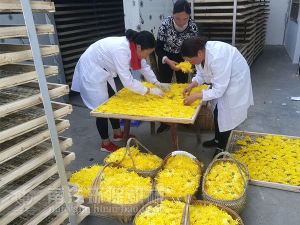 空氣能熱泵菊花烘房現場