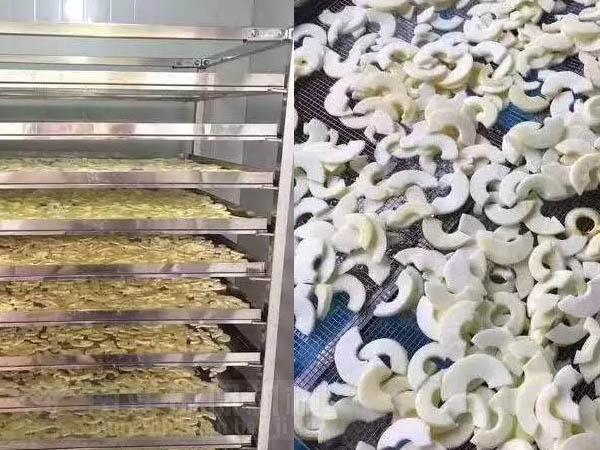 蘋果片（piàn）烘幹機
